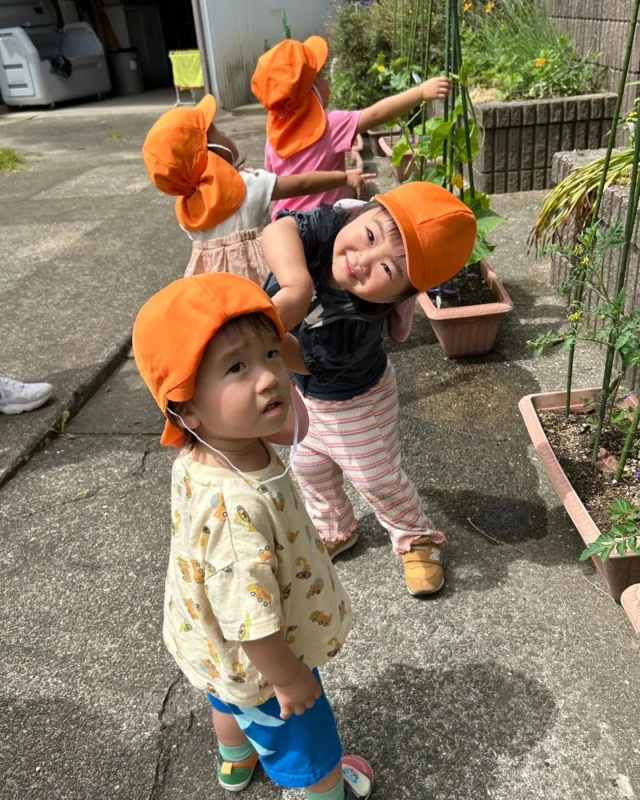 長崎地方も梅雨入りし、カエルの合唱が響いています。🐸

梅雨の晴れ間は逃さず外に出て、夏野菜🍅を観察したり、ブランコ、鉄棒、鬼ごっこ等元気いっぱい楽しんでいます✌

室内活動も充実しています！絵の具遊び🎨やレストランごっこ🧑‍🍳、初めてのお仕事にチャレンジしたり、梅雨ならではの遊びを工夫しながら、過ごしていきたいと思います♡

#梅雨#雨#カエル#戸外遊び#室内遊び#絵の具#おしごと#認定こども園#小さき花の幼稚園#カトリック#エンジェル広場#子育て支援